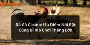 Đá Gà Casino: Ưu Điểm Nổi Bật & Bí Kíp Chơi Thắng Lớn