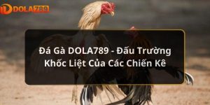 Đá Gà DOLA789 - Đấu Trường Khốc Liệt Của Các Chiến Kê